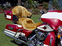 Village Shop - motorcycle seat covers