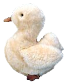 Sheepskin Duck