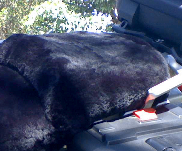 Passenger Motorcycle Seat Cover