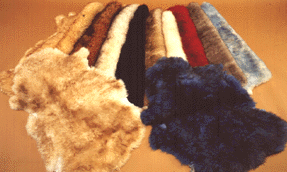 Shaggy 2" Sheepskins