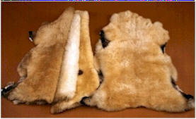 Village Shop - Texas Natural Sheepskins